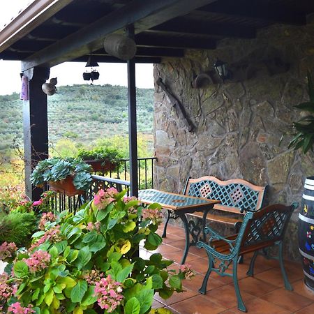 Casa Rural Los Olivos Sotoserrano Eksteriør billede