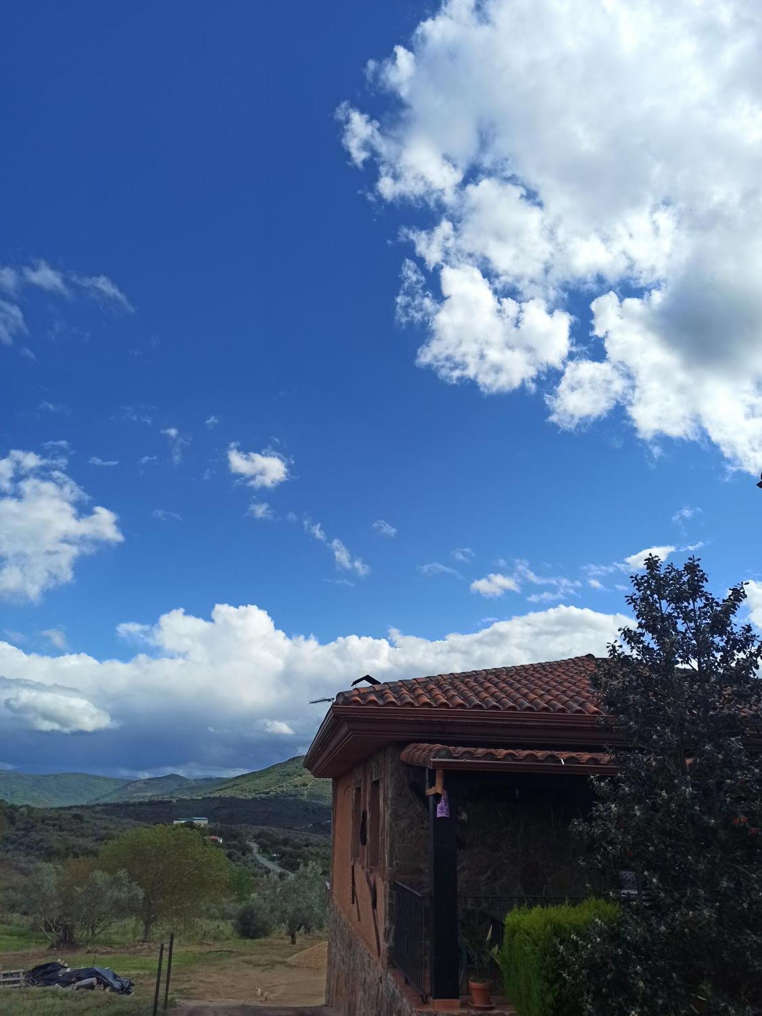 Casa Rural Los Olivos Sotoserrano Eksteriør billede