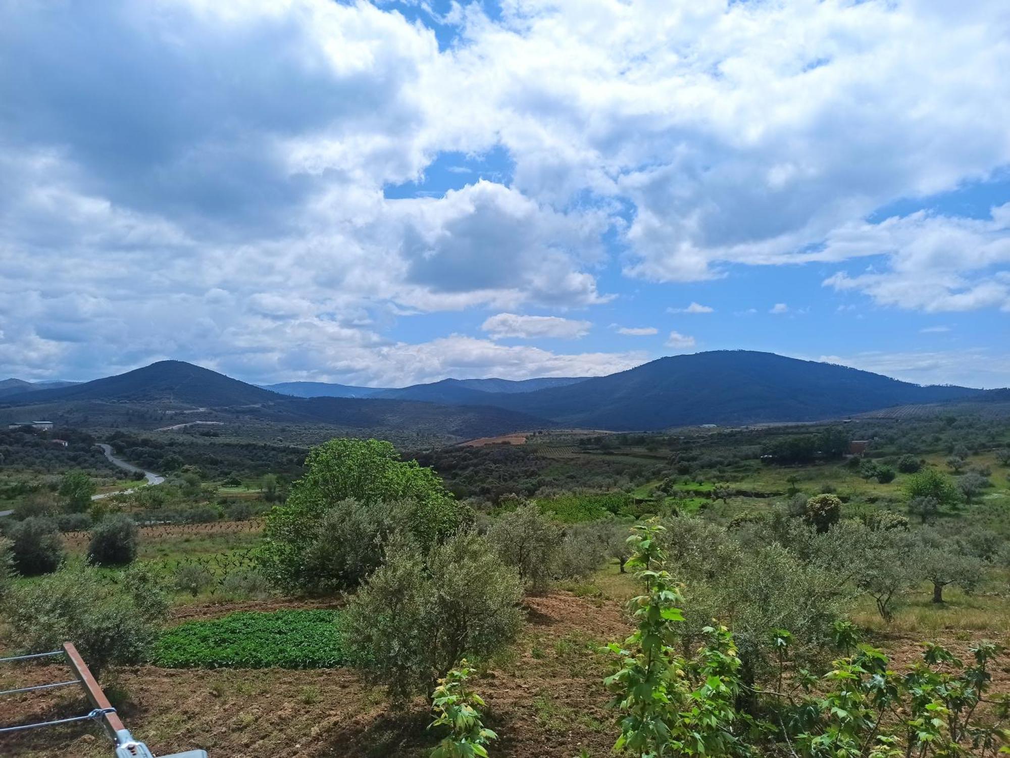 Casa Rural Los Olivos Sotoserrano Eksteriør billede