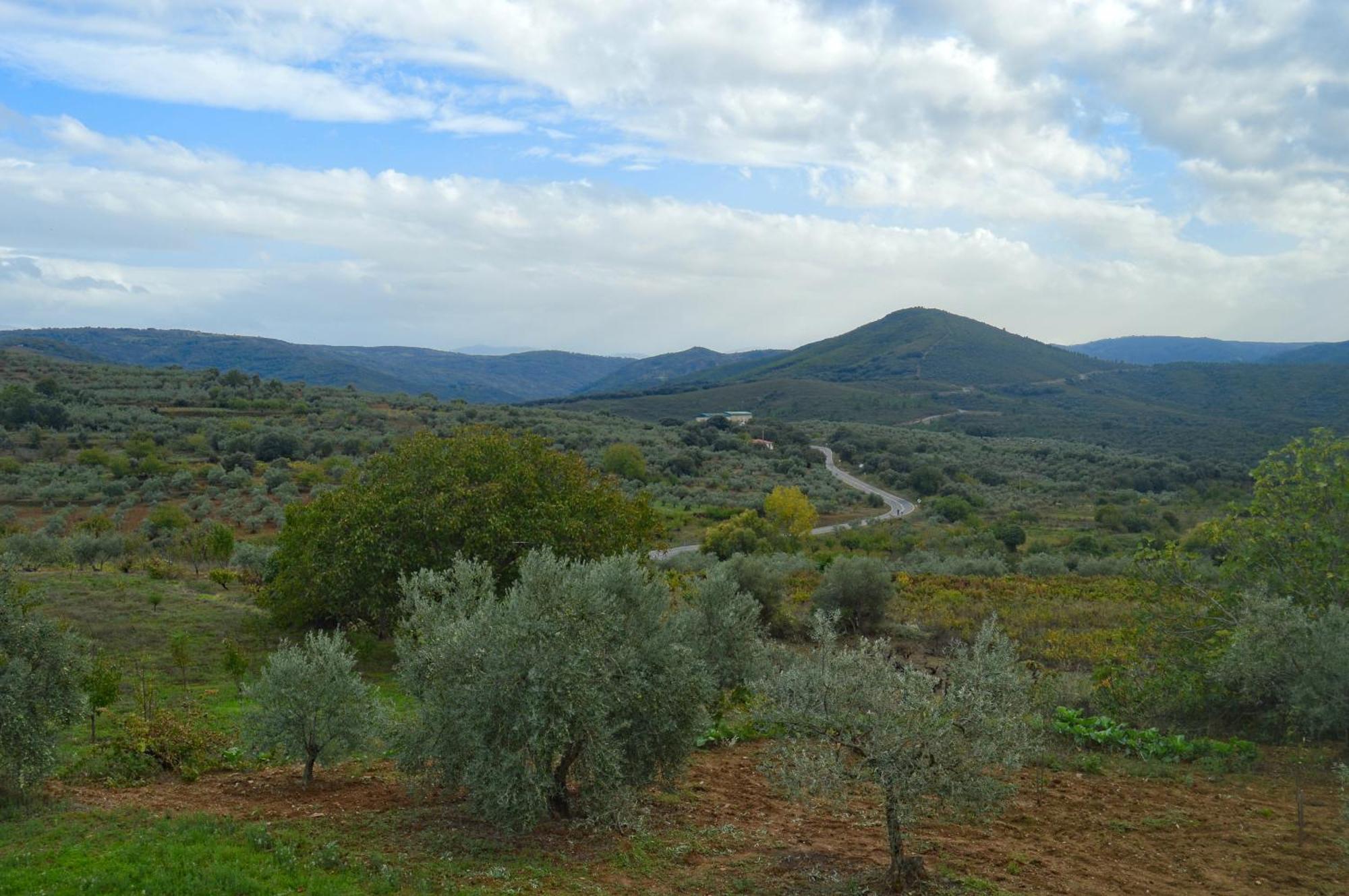 Casa Rural Los Olivos Sotoserrano Eksteriør billede